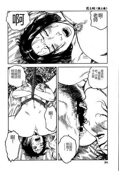 第279頁圖
