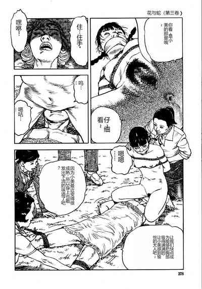 第283頁圖
