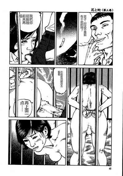 第47頁圖