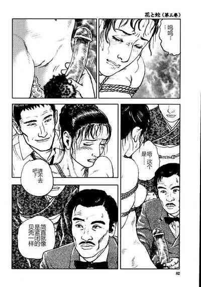 第87頁圖