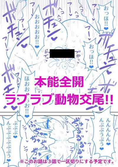 第43頁圖
