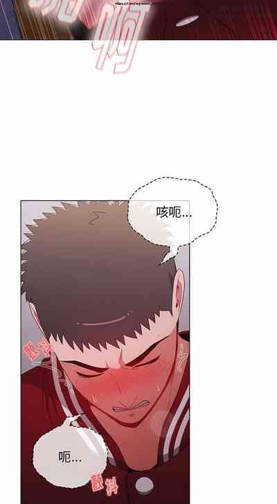 第291页图