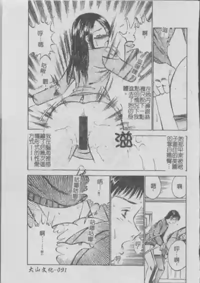 第95頁圖