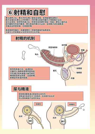 第27頁圖