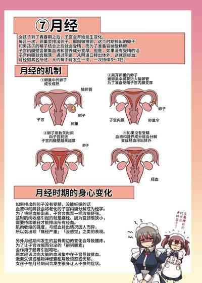 第35頁圖