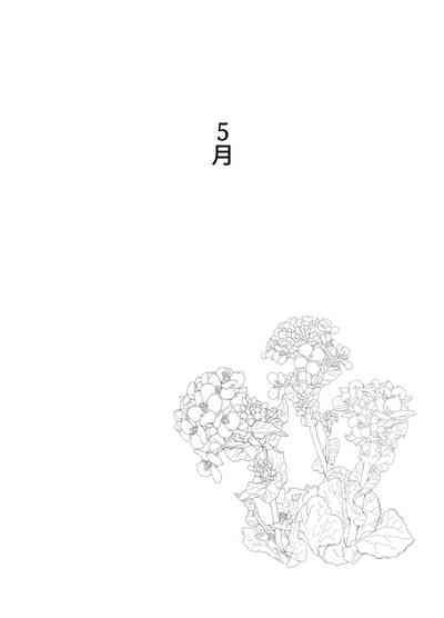 第27页图