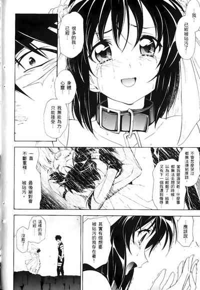 第463頁圖