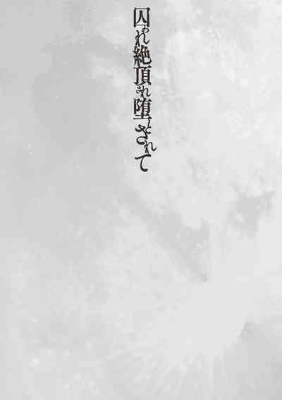 第183頁圖