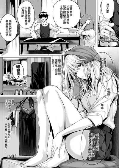 第211頁圖
