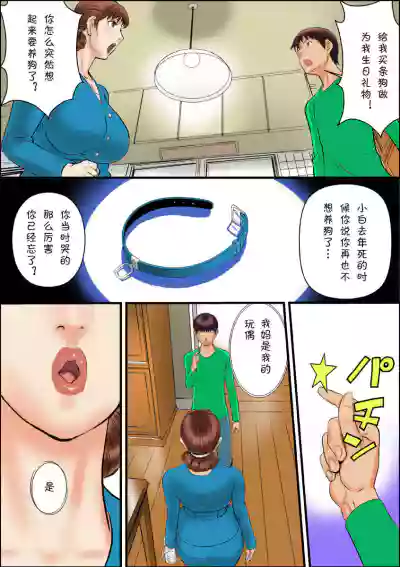 第3页图