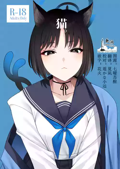 貓。圖