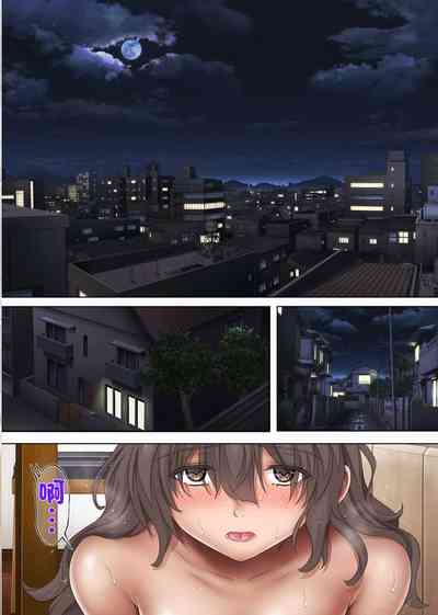 第211頁圖