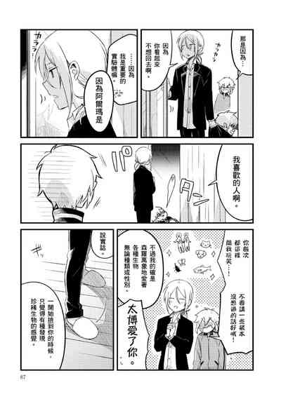 第91頁圖