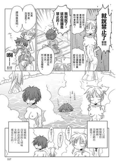第119頁圖