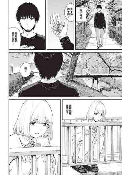 第215頁圖