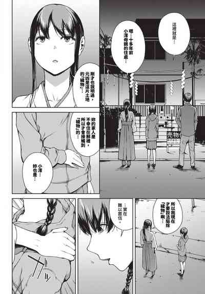 第247頁圖