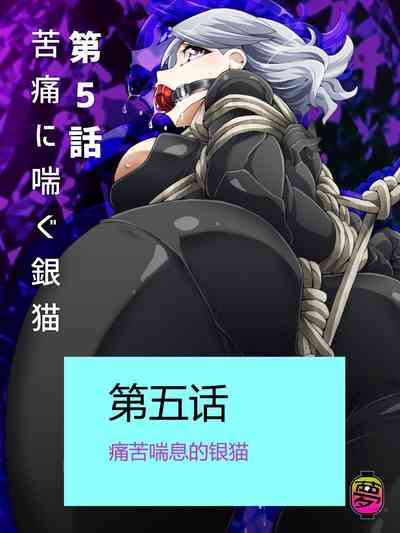 第95頁圖