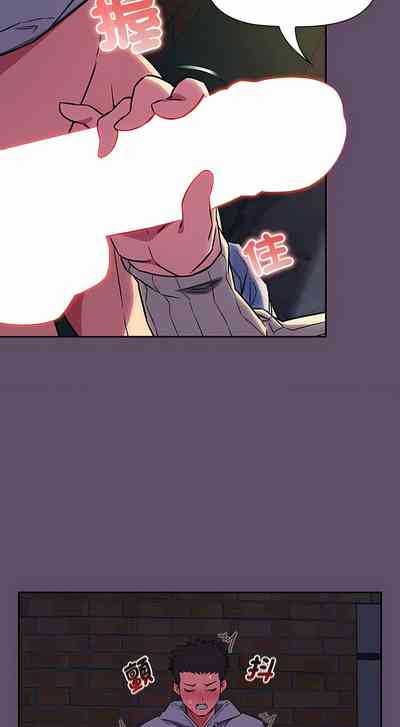 第291页图
