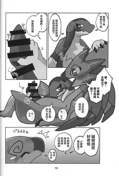 第11页图