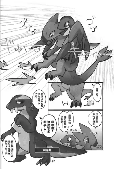 第23页图