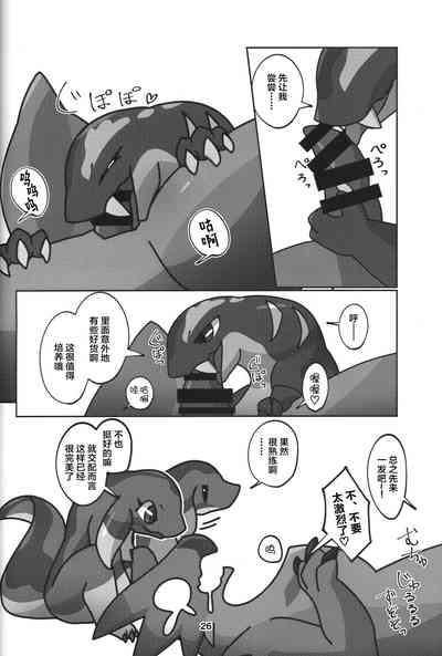 第27页图