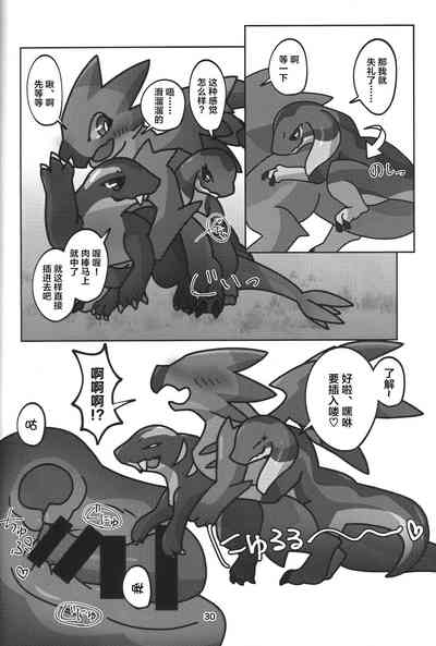 第31页图