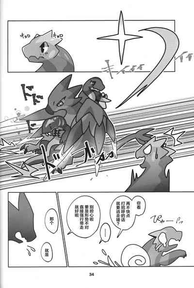 第35页图