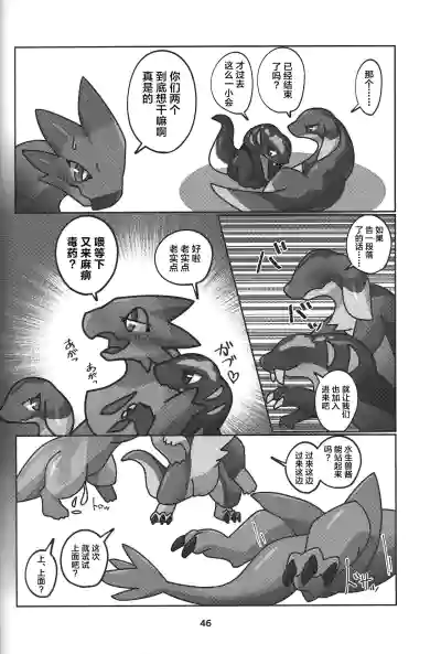 第47页图