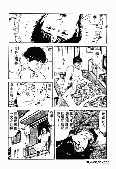 第219页图