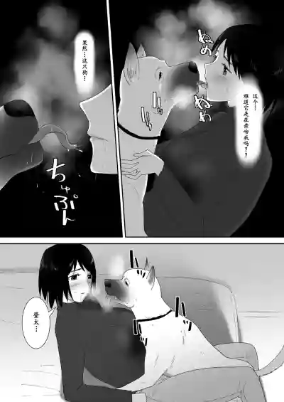 第15页图