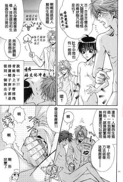 第11頁圖