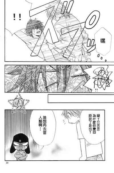 第19頁圖