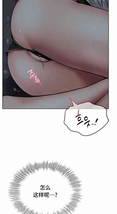 第411頁圖