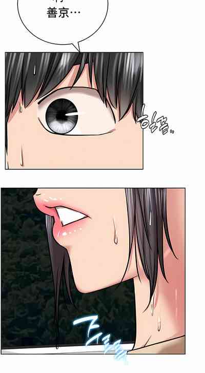 第495頁圖