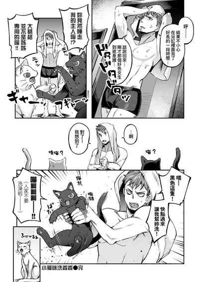 第155頁圖