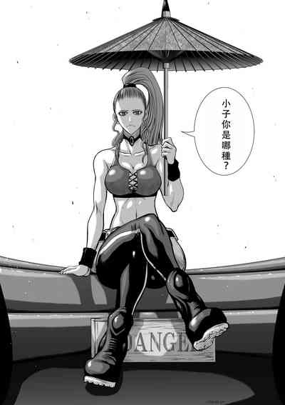 第219頁圖