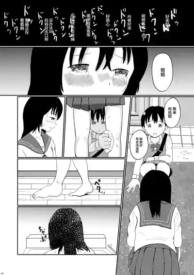 第43頁圖