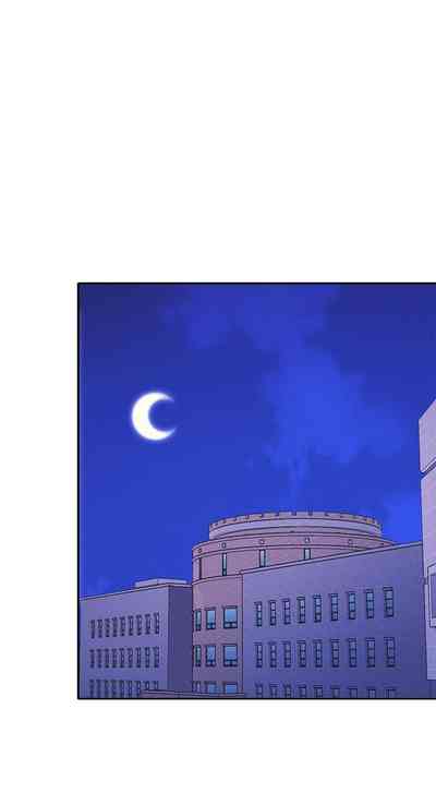 第543頁圖