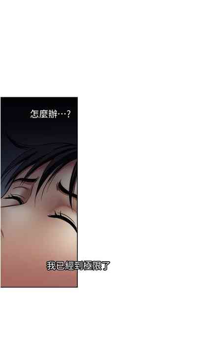 第295頁圖
