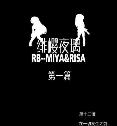 第251頁圖