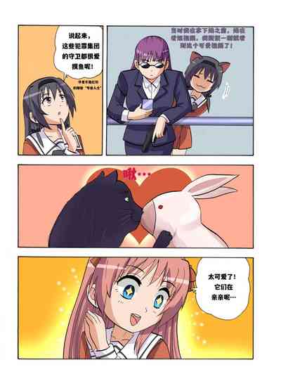 第495頁圖