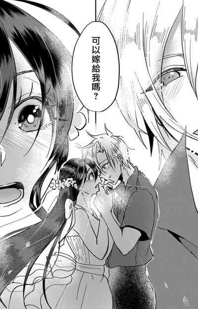 第295頁圖