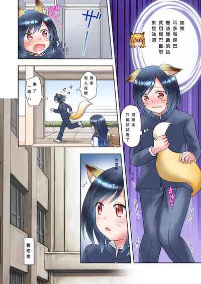 第19頁圖