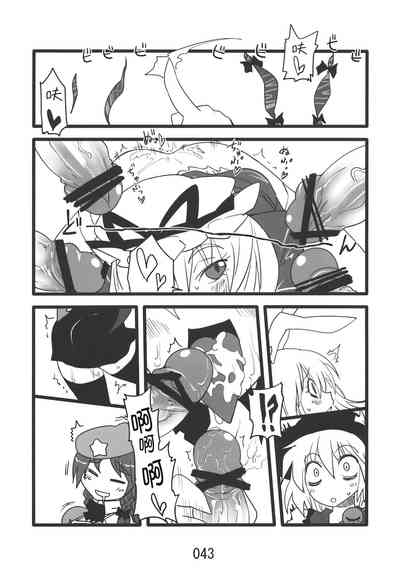 第43頁圖