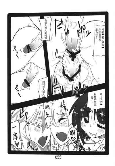 第55頁圖