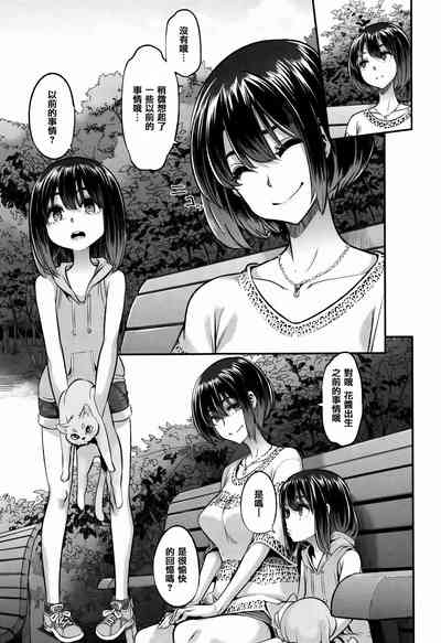 第243頁圖