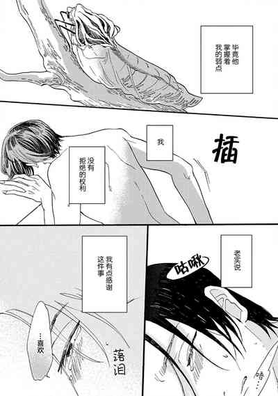 第63頁圖