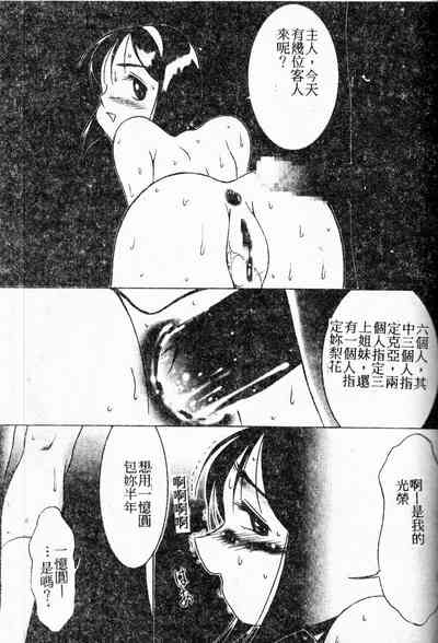 第95頁圖