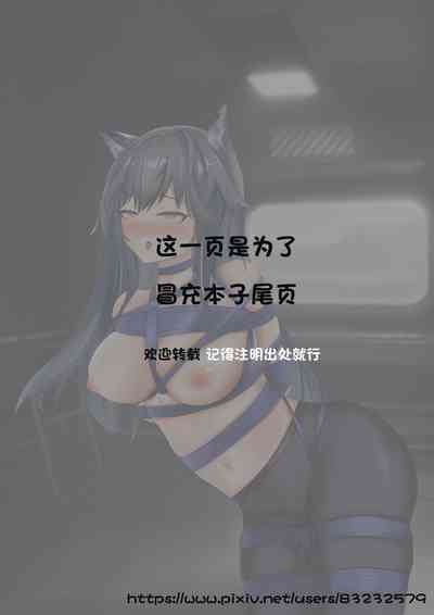第11页图