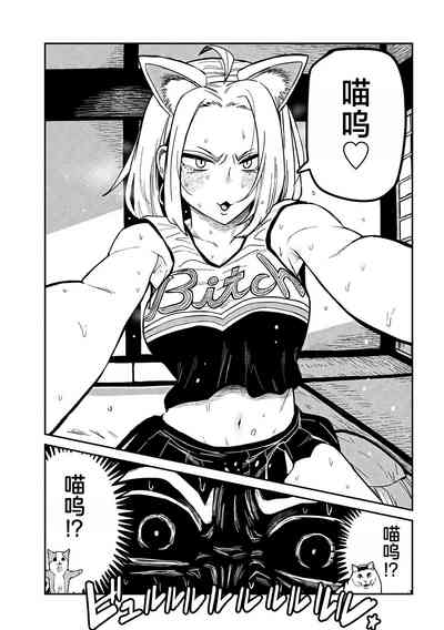 第491页图
